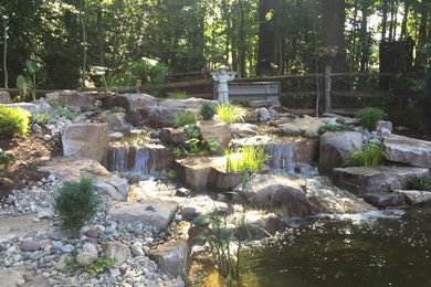 Upcoming Pond Builds - 2016