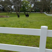 fencing