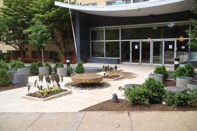 Design ideas for a large modern courtyard landscaping in DC Metro.