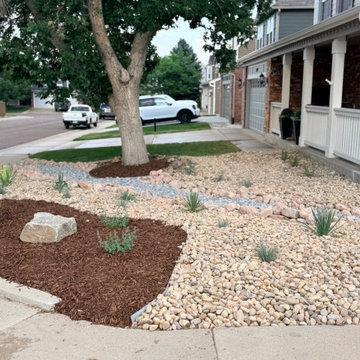 Xeriscape Transformation - Highlands Ranch, CO