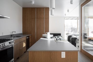 Example of a kitchen design in Vancouver
