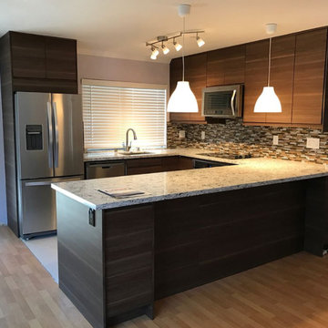 Kitchen Remodel/Renovation