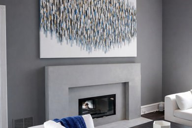 Living room - modern living room idea in Dallas