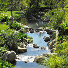 ponds