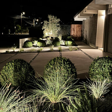 Mid-Century Modern Landscape Remodel