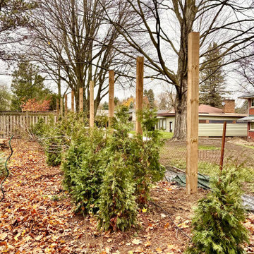 6x6 Fence Posts!