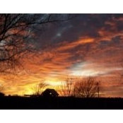 Lindy Duree's photo