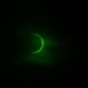 Anne DeArmon's photo