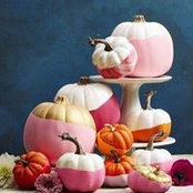 Michele Volz's photo
