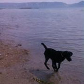 Ellie Wardle's photo