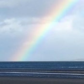 Carol Mulhern's photo