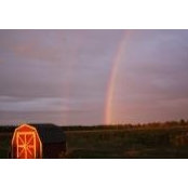 Mary Morgan's photo