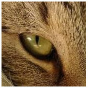 Karen Carson's photo