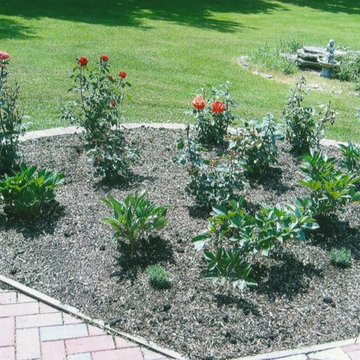 Rose Garden Design and Install