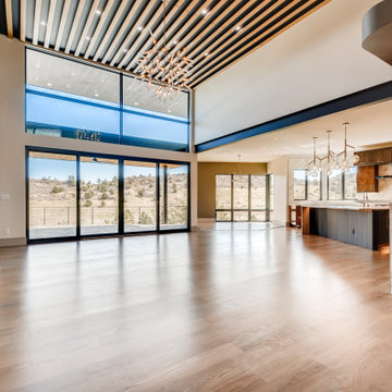 Raphael - Contemporary Custom Home