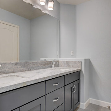Modern Gray Master Suite and Guest Bathroom in Green Valley
