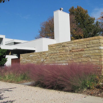Muhlenbergia against stone wall