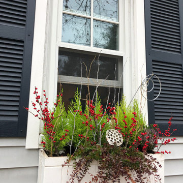 Holiday Window Boxes