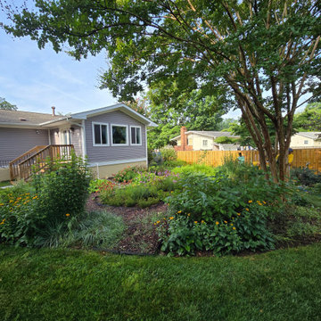 Established Native Plant Side Garden | Fairfax, VA