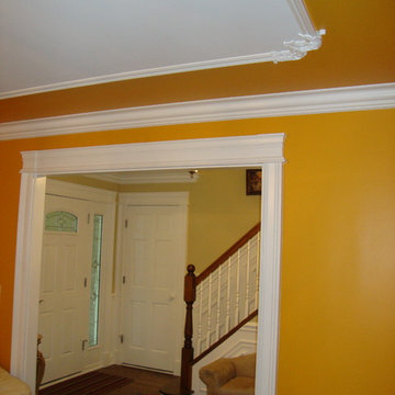 Mount Prospect House Remodeling 2017
