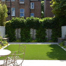 Outdoor Garden And Indoor Plants