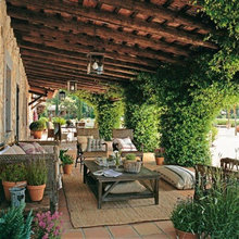 Rear Terrace and Garden
