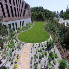 lawn