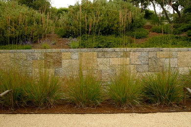 Design ideas for a modern landscaping in San Francisco.