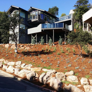 Low Maintenance & Drought Tolerant