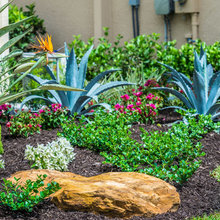 Landscaping
