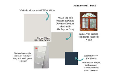 Paint consultation