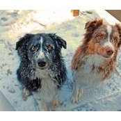Sebastien Rompre's photo