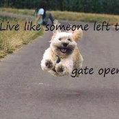 William Scott's photo