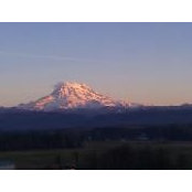Susan Seitz's photo