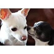 Jennifer Abel's photo