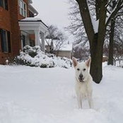 Holly Knecht's photo