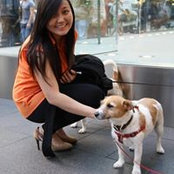 Vivian Tan's photo