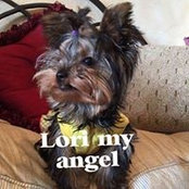 Marisol Ortiz's photo