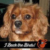 Michael Conway's photo