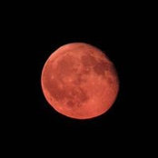 Elanor White's photo