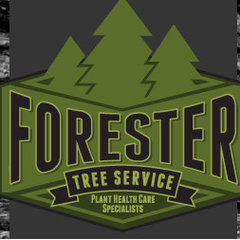 Forester Tree & Plant