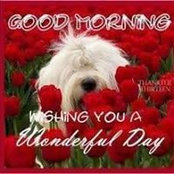 Esther Steenkamp's photo