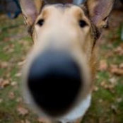 Nancy Winsett's photo