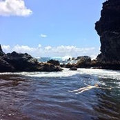 Lorrie Roche's photo