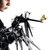 Marco Maffei's photo
