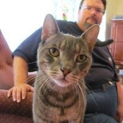 Kurt Weirich's photo