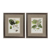 Wilbur Decor