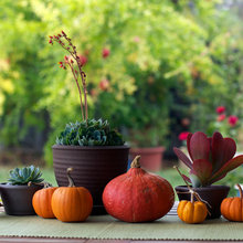 fall