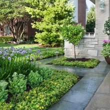 Front yard Landscaping