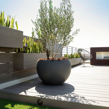 Modern Rooftop Deck